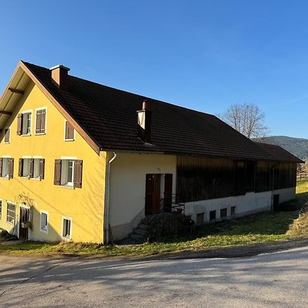Chalet Cosy Lisiere De Foret Xonrupt-Longemer Exterior foto