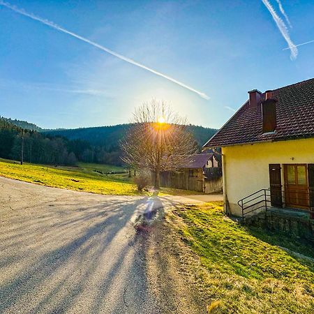 Chalet Cosy Lisiere De Foret Xonrupt-Longemer Exterior foto