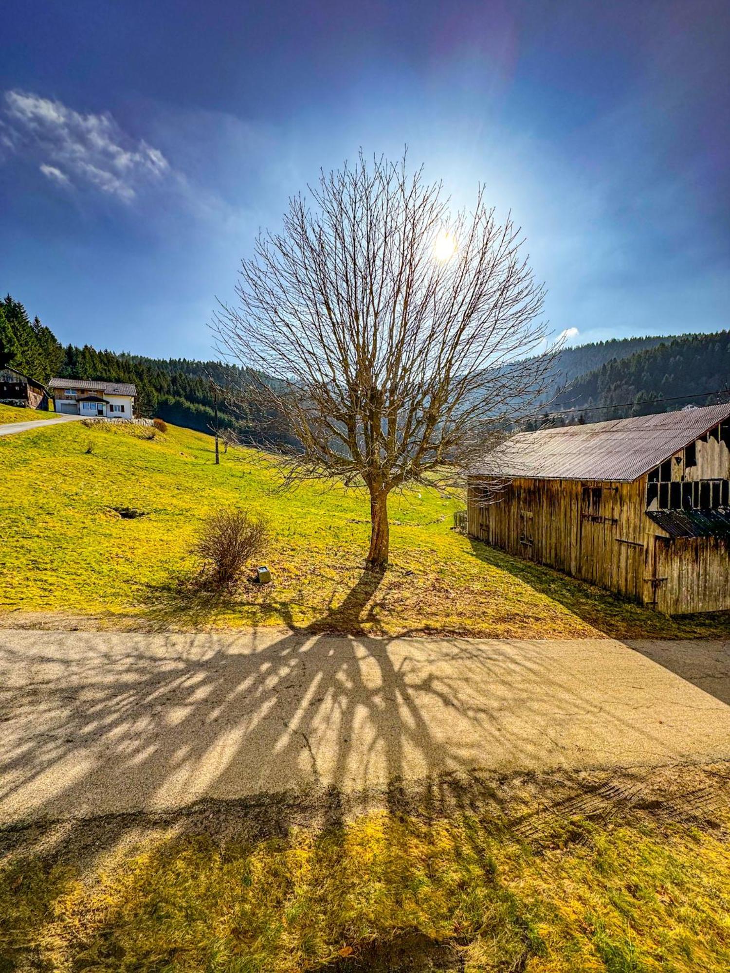Chalet Cosy Lisiere De Foret Xonrupt-Longemer Exterior foto