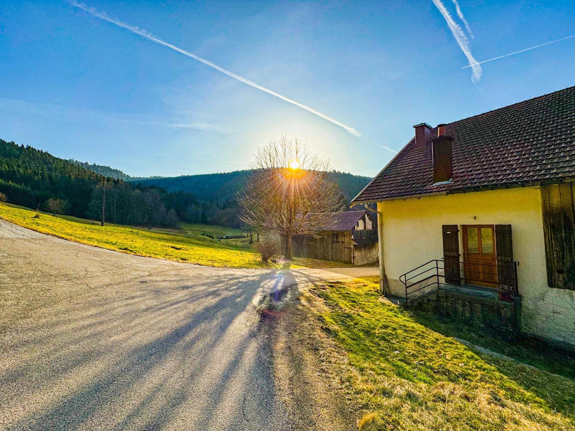 Chalet Cosy Lisiere De Foret Xonrupt-Longemer Exterior foto