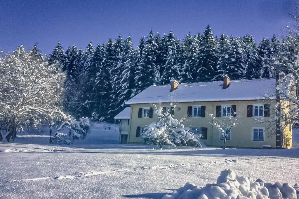 Chalet Cosy Lisiere De Foret Xonrupt-Longemer Exterior foto