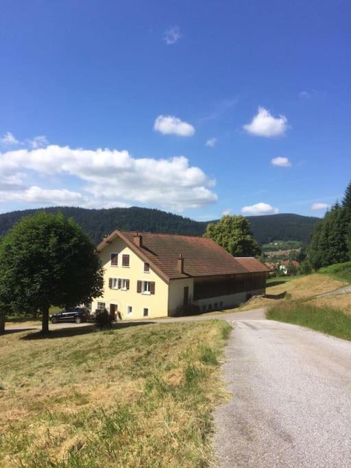 Chalet Cosy Lisiere De Foret Xonrupt-Longemer Exterior foto